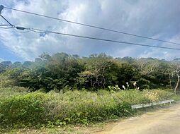 大宜味村根路銘土地