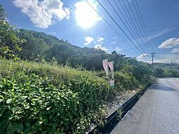 今帰仁村湧川