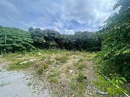 本部町新里土地