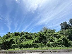本部町新里土地
