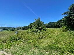 本部町備瀬土地