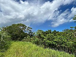 大宜味村津波土地