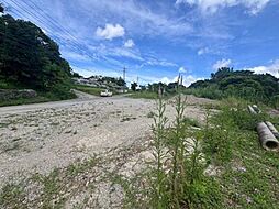 名護市為又土地