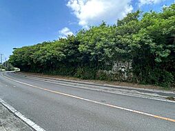 本部町備瀬土地