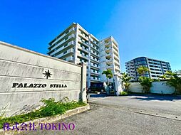 パラッツォステラ 8--