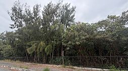 国頭郡宜野座村漢那0丁目