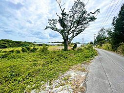 宜野座村漢那土地