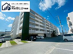 ベアーズコート桑江III　4階 41-