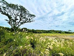 宜野座村漢那土地
