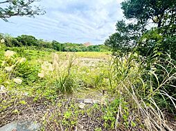 宜野座村漢那土地