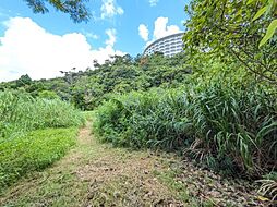 国頭郡恩納村名嘉真の土地