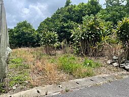 南城市大里稲嶺売土地整形地