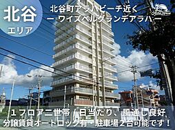 ワイズベルグランデアラハ 6--
