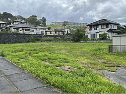 植田町小名田 388坪