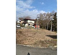 奥州市水沢真城 売地