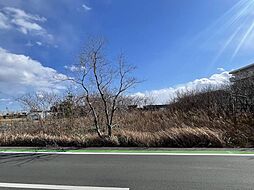 浜松市中央区根洗町の土地
