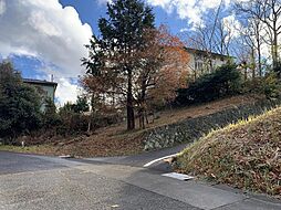 伊豆市大野の土地