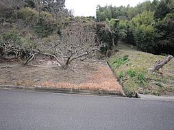 牧之原市波津1丁目の土地