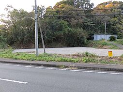 賀茂郡南伊豆町蝶ケ野の土地