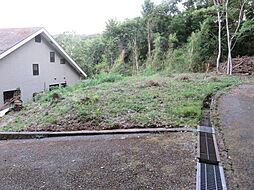 賀茂郡南伊豆町蝶ケ野の土地
