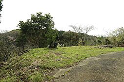 賀茂郡南伊豆町伊浜の土地