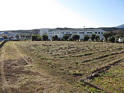 裾野市千福の土地