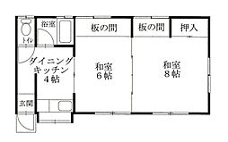 伊豆市大平柿木