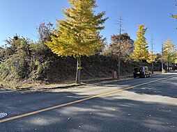 駿東郡長泉町東野の土地