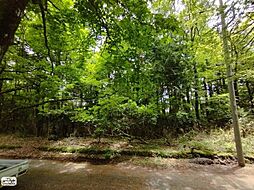 裾野市須山の土地