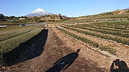 売土地（富士市神戸）