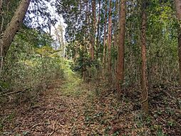 富士宮市山宮の土地