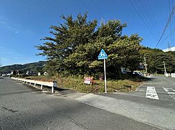 静岡市清水区大内の土地