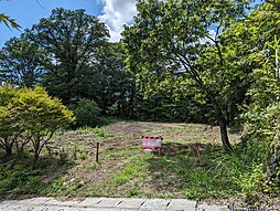 駿東郡小山町須走の土地