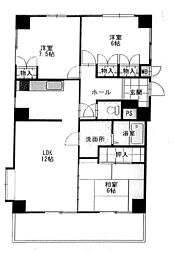 トゥエルコート新富士 203