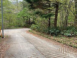 南魚沼郡湯沢町大字三国の土地