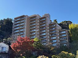 コスモ熱海林が丘 1301