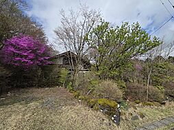 十里木「南富士」