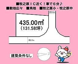 牧之原市布引原の土地