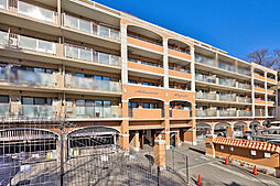 アデニウム日吉