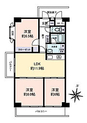 マンハイム竹の塚