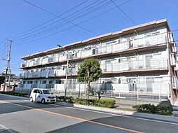 シャイニーマンション 305