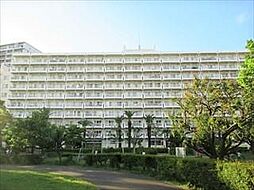 東急ドエルフェニックス 405