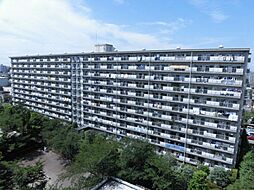 新松戸中央パークハウス　D棟 705