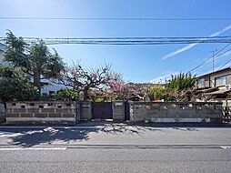 杉並区今川4丁目　土地