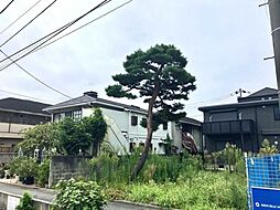 杉並区和田1丁目売地