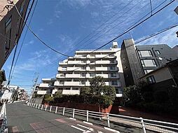パシフィックニュー中野