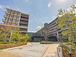 シティテラス八潮F棟