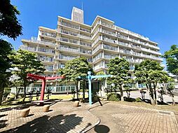 ライネスハイム松戸五香