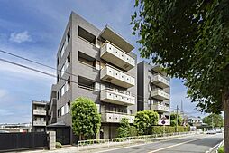 ルピナス山手