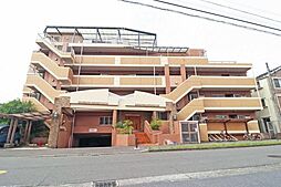 ドメス久地